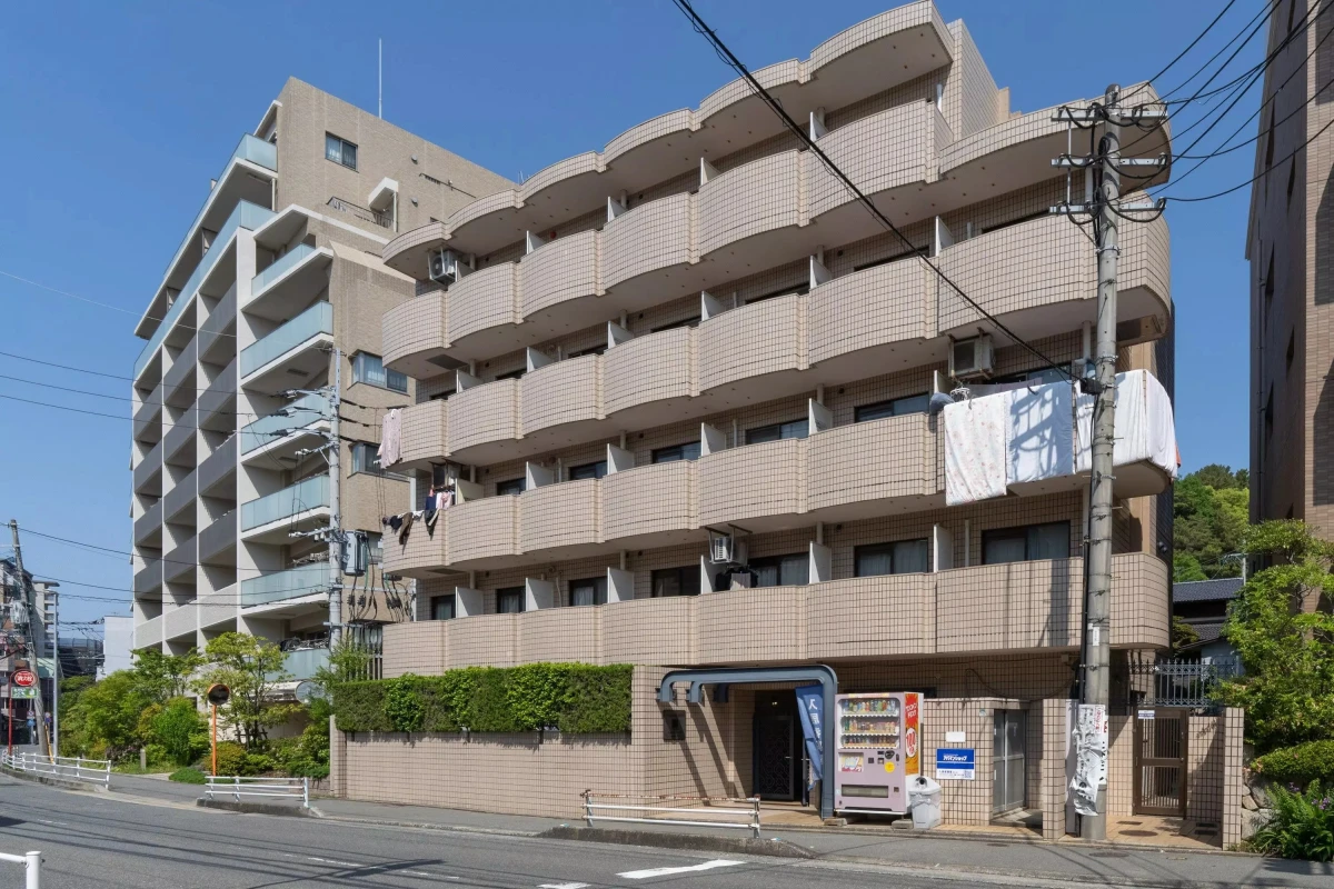 メイン画像