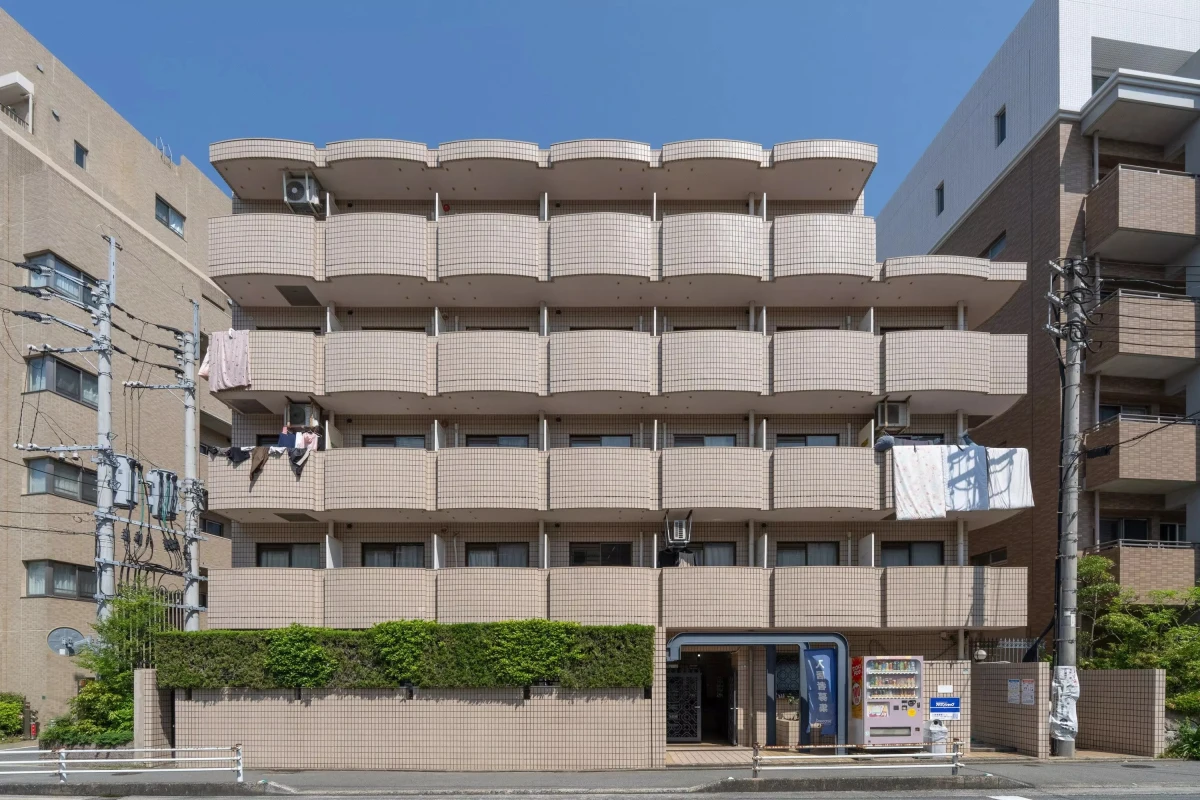 メイン画像