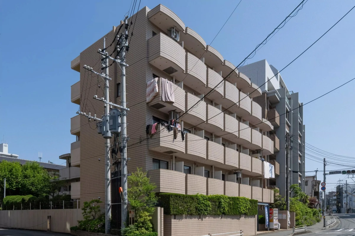 メイン画像