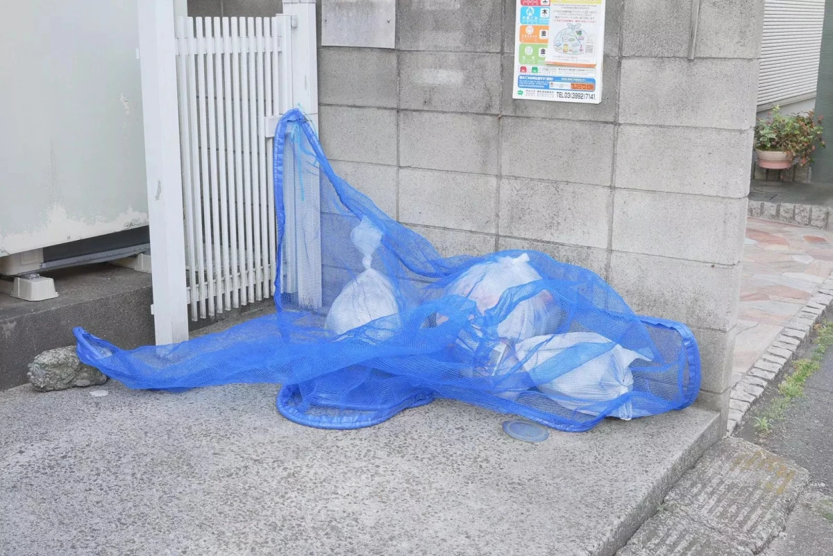 メイン画像