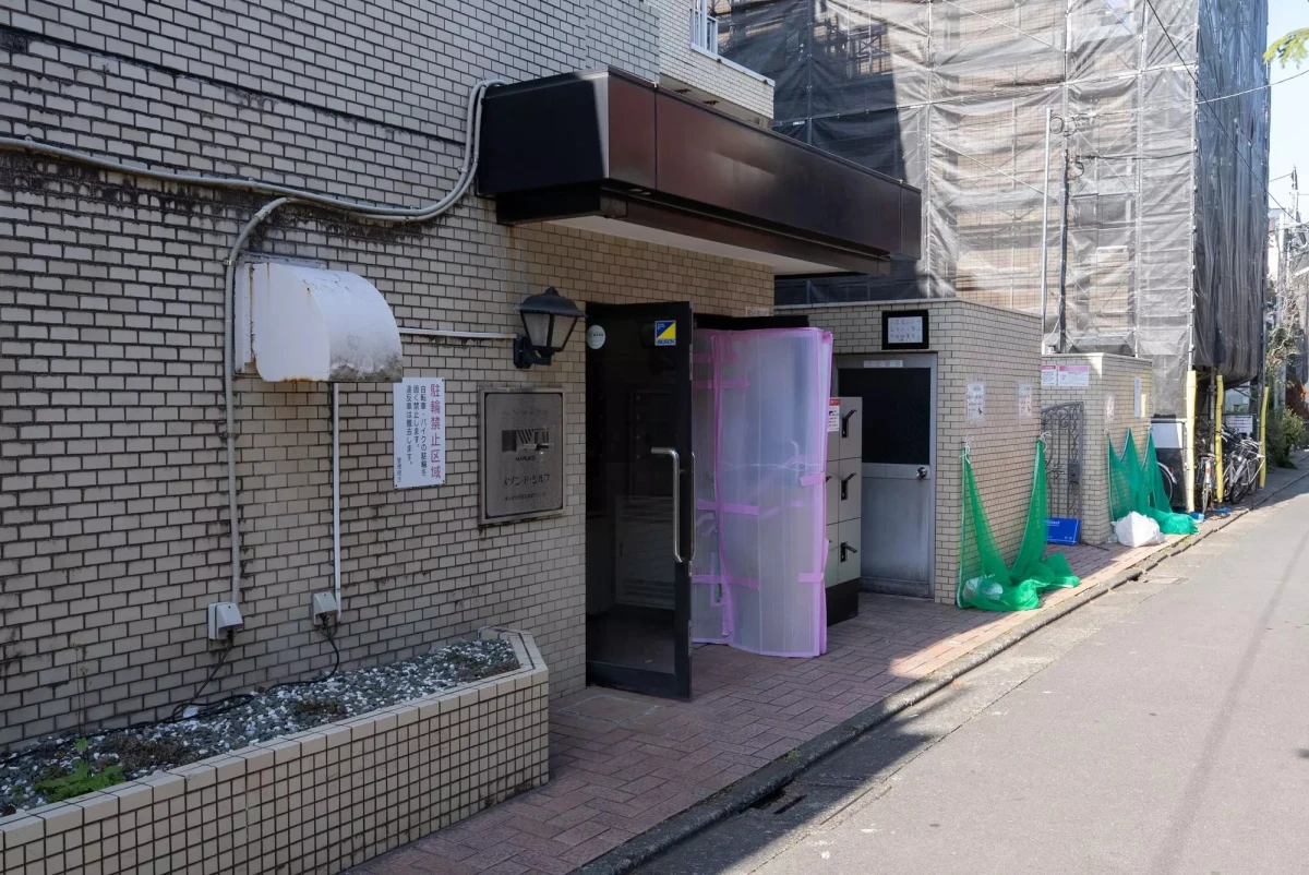 メイン画像