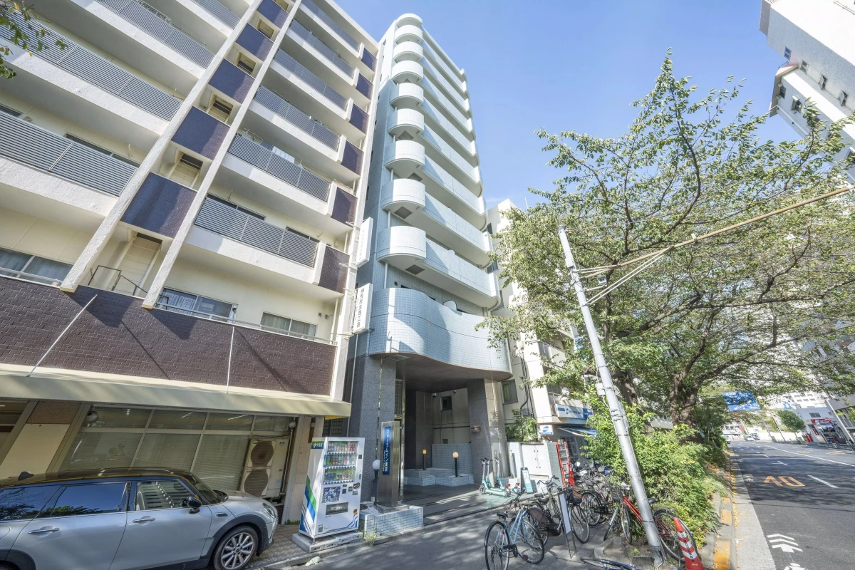 メイン画像