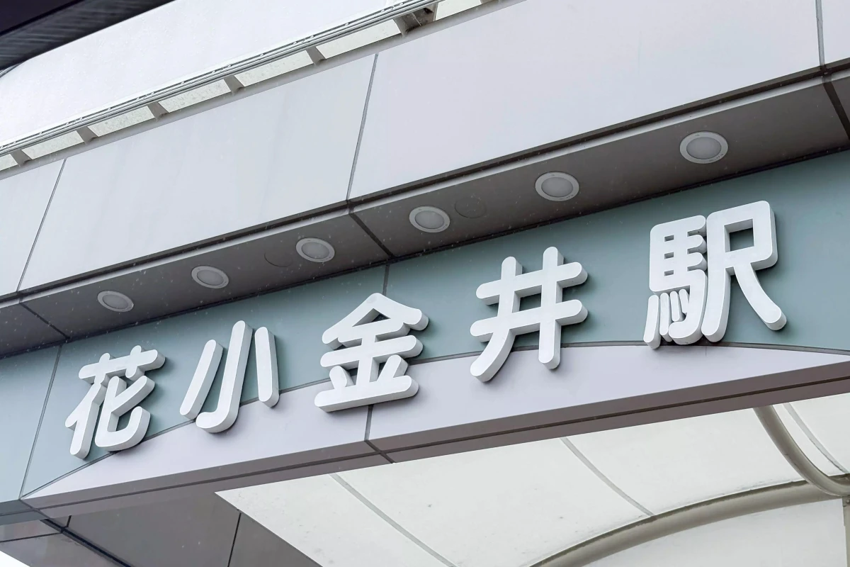 メイン画像