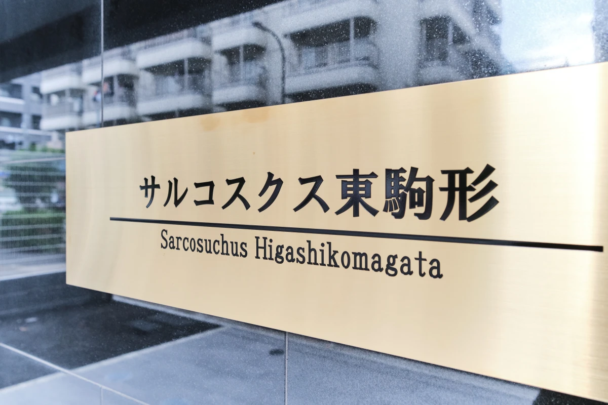 メイン画像