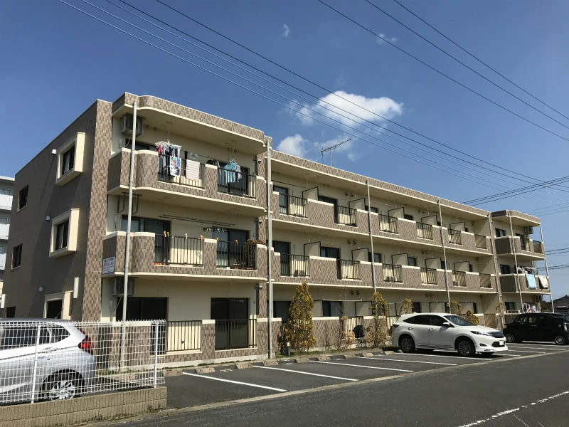 メイン画像