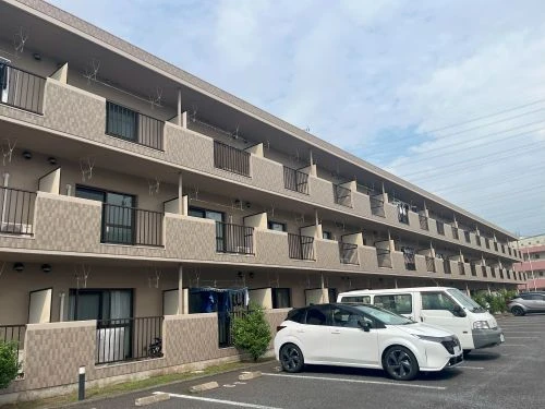 メイン画像