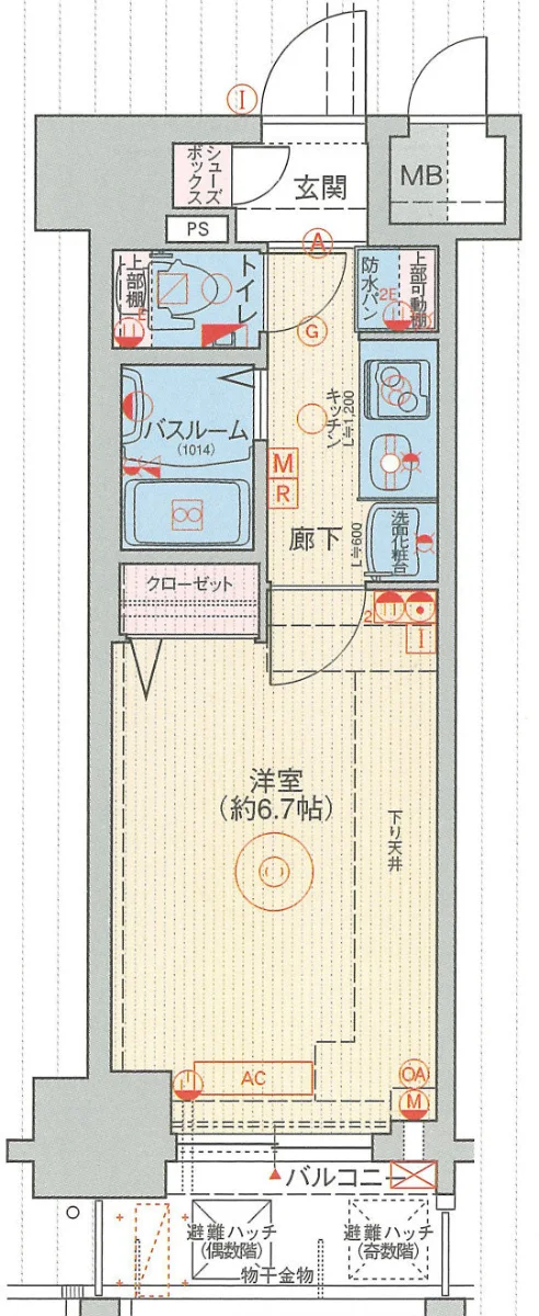 メイン画像