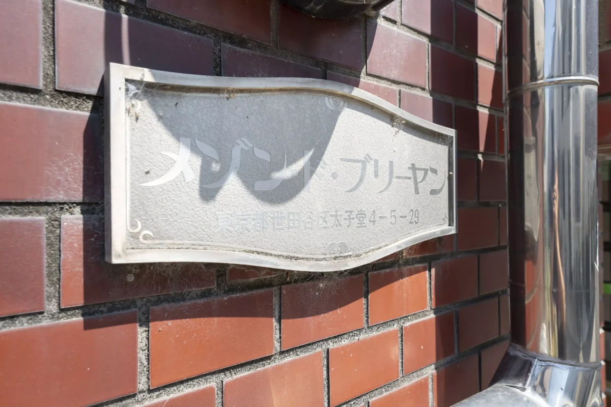 メイン画像