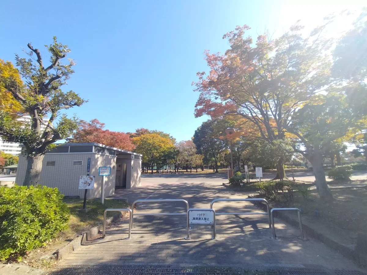 メイン画像