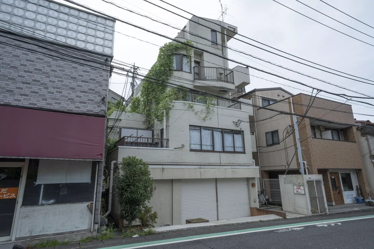 メイン画像