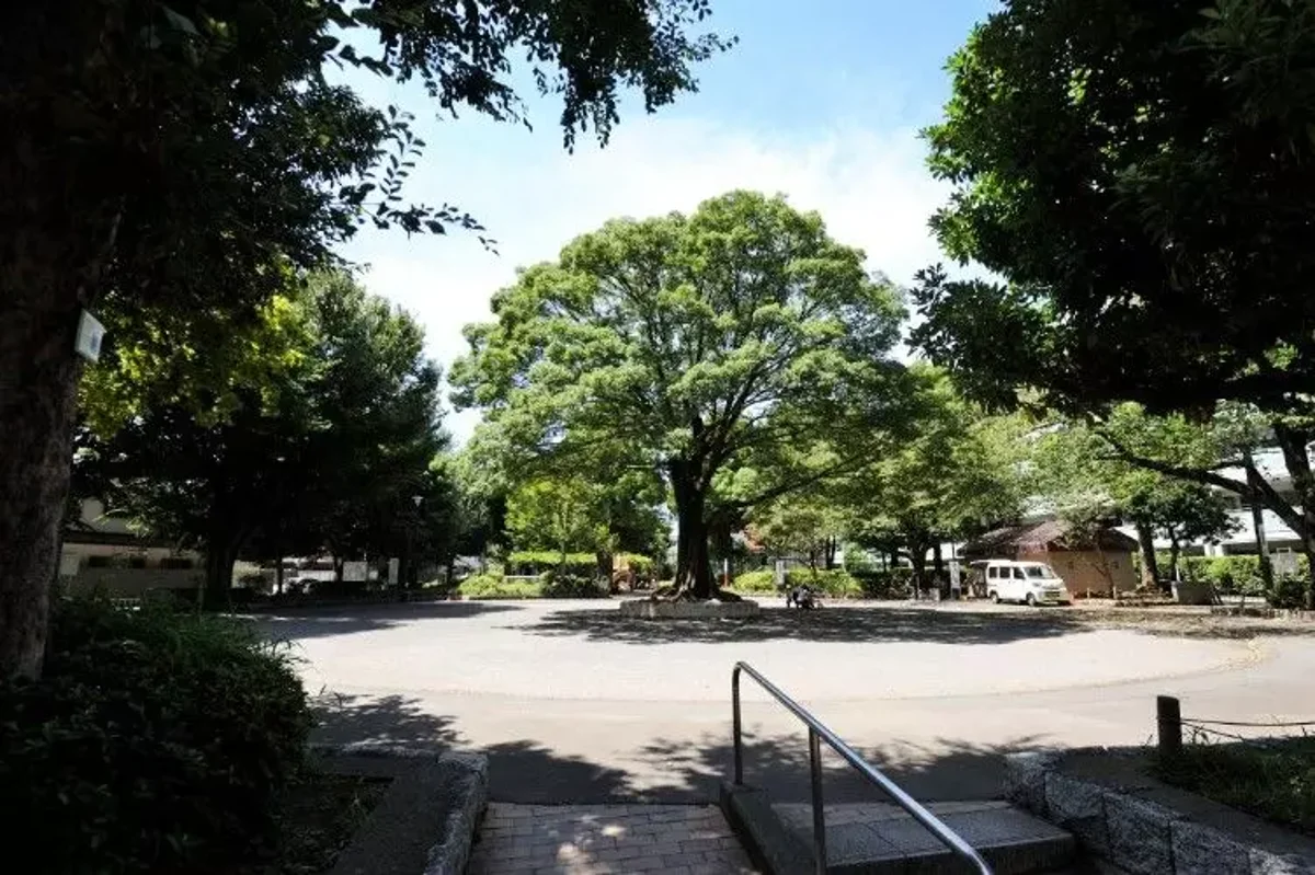 メイン画像