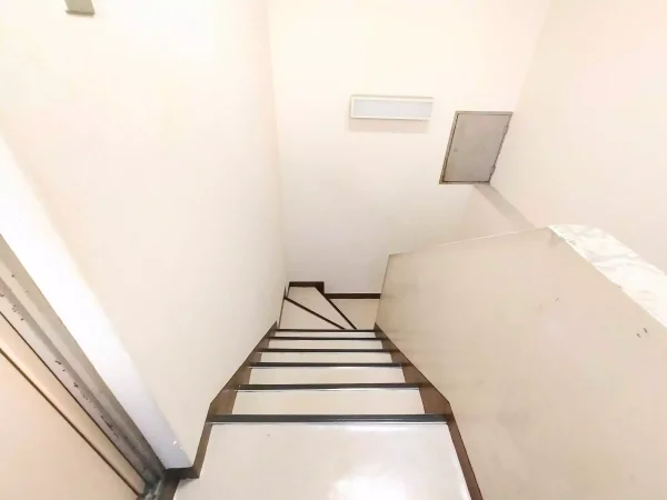 建物