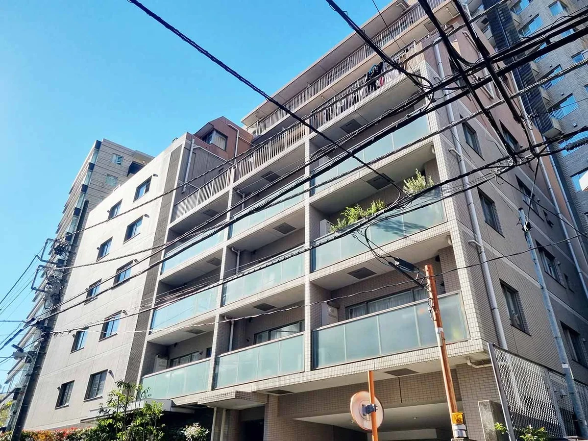メイン画像