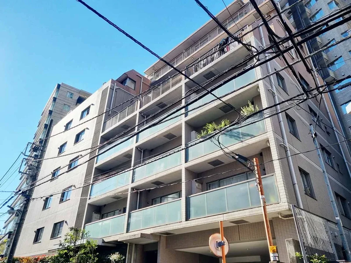 メイン画像