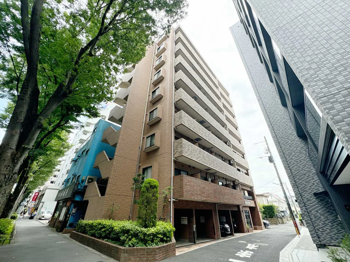 メイン画像