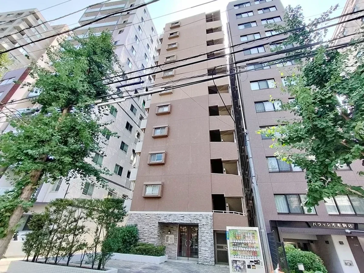 メイン画像